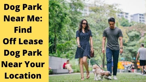 find-dog-park-near-me-city-wise-list-zip-code-search