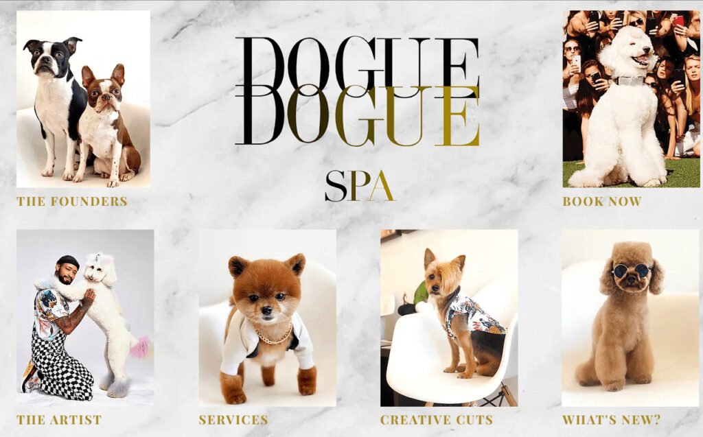 Dogue Spa - The Coolest Dog Grooming Salon