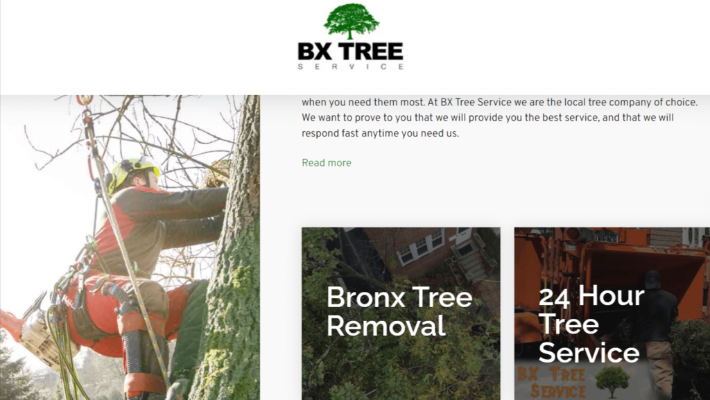  BX Tree Service New York City