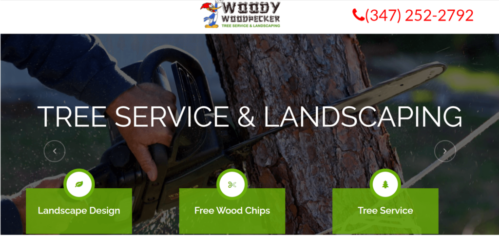 Woody Woodpecker Tree Service New York City